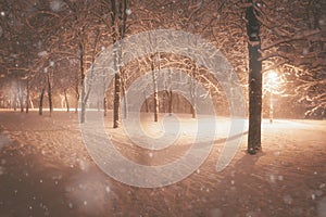 Snowy alley of city illuminated park