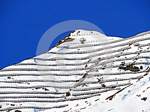 Snowy alpine mountain peak Pointe des Semeleys located in a mountain massif of the Bernese Alps Alpes bernoises, Les Diablerets photo