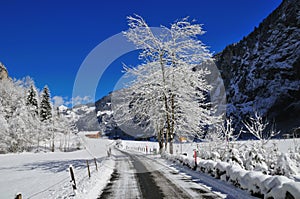 Snowy Alpine Road