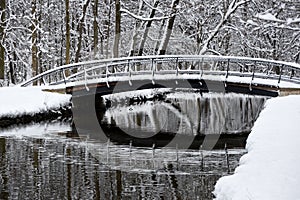 Snowy art in a winter fairytale park