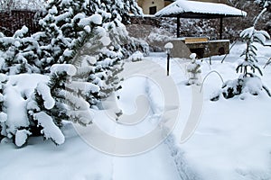 Snowy Backyard Patio.Winter  Landscape  with barbeque area, snowbanks of white snow, pine trees in country garden.