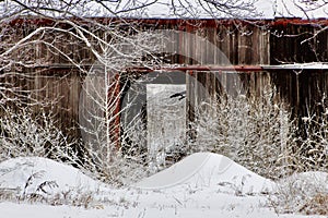 Snowy barn