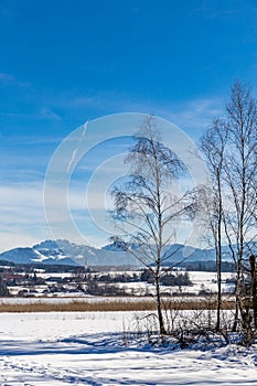 Snowy Bavarian Countryside with Mountains in the Background, Germany