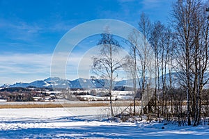 Snowy Bavarian Countryside with Mountains in the Background, Germany