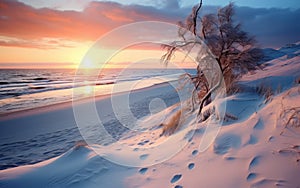 Snowy Beach Scene at Sunset with Warm Skies and Calm Sea