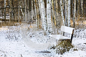 Snowy bench in a forest at winter