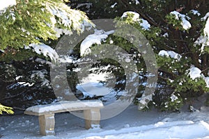 Snowy Bench in the Woods