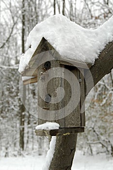 Snowy Bird House