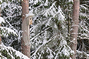 Snowy bird house on a pine tree. Wooden aviary of timber. Nest box in the forest,