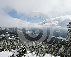 Snowy Black Forest mountains in Mummelsee aerial view