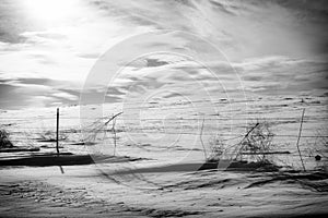 Snowy Black & White Rural Colorado Landscape with Tumbleweeds & Barbed Wire