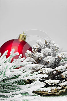 Snowy branch christmas tree and cone and red ball on white wooden vintage background