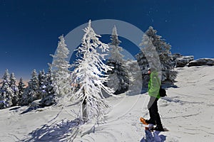 Snowy Christmas landscape. Moonlight night. Winter forest in snow. Full moon and starry sky.