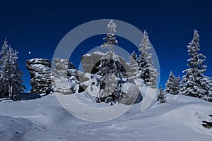 Snowy Christmas landscape in night. Winter forest in snow. Full moon and starry sky.