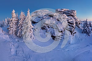 Snowy Christmas landscape. Sunny day. Winter forest in snow. Full moon and starry sky.