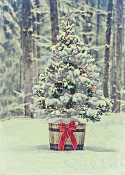 Snowy Christmas Tree with Colorful Lights in a Forest - Vintage