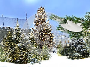 Snowy Christmas tree  on  festive city marketplace fluffy snowflakes   no  tree branch with red blue green ball and gold confetti
