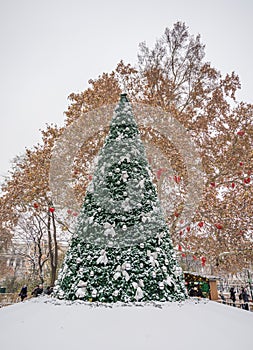 Snowy Christmas tree in the Vienna.