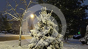 Snowy city park in light of lanterns at evening. Snow-covered trees and benches, footpath in a fabulous winter night park. Winter