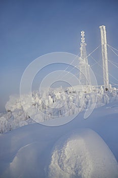 Snowy cold winter in the mountains landscape, trees in the snow in the morning, cold north wind. Ice fir trees, Christmas