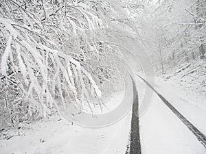 Snowy country lane