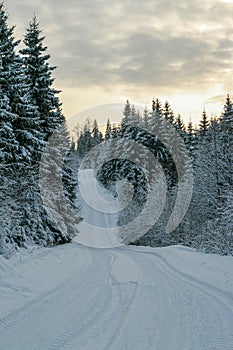 Snowy country road in a forest