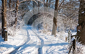 Snowy country road between the meadows