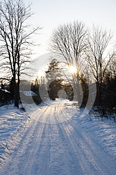 Snowy country road with snow and between the big trees