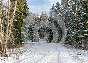 Snowy country road, winter landscape, winter road and snow-covered trees, winter in Latvia