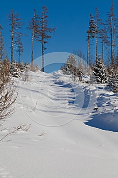 Snowy country side - like post card view