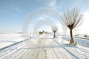 Snowy countryroad, in the Netherlands