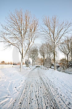 Snowy countryroad in the Netherlands