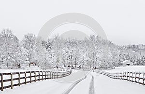 Snowy countryside driveway