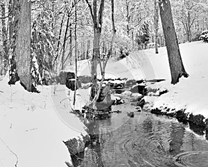 Snowy Creek