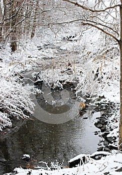 Snowy Creek