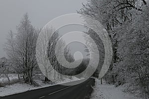 Snowy curvey road to the forest in winter in Lithuania.Landscape photo