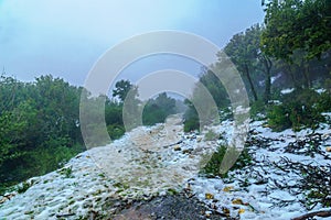 Snowy day, on mount Adir photo