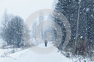 Snowy day in the park, outgoing man