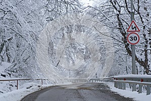 Snowy driveway and road sign speed limit 30 km. Winter forest after snowfall. Bad weather, fall.