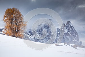 snowy early winter landscape in Alpe di Siusi. Dolomites, Italy - winter holidays destination