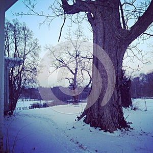 Snowy farm scene in Cincinnati Ohio