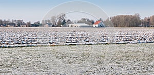 Snowy farmland on the outskirts of a Dutch village