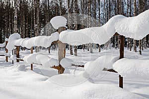 Snowy fence