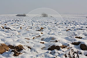 Snowy field in Aisne