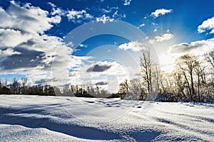 Snowy field and forest during the sunset of the bright sun, blue sky with clouds, winter landscape