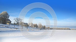 Snowy field. Sunny frosty day. Snowfall. Winter landscape