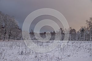 Snowy field at sunset in winter. Beautiful sky. The sky before the snow. Gray sky and sun. Evening sun Winter sunset