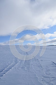 A snowy field under a cloudy sky