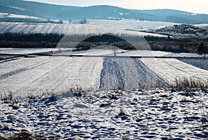 Snowy fields and landscape