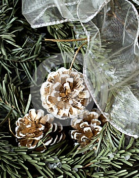 Snowy fir tree with fir-cone and decoration white stripe.